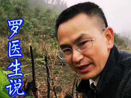 罗医生说中药—第90集:商陆