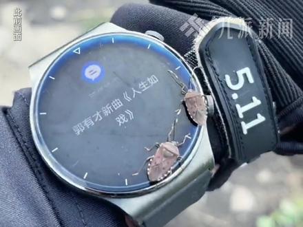 5月14日报道,江西萍乡,#武功山景区回应山顶全是臭屁虫 : 每年五六月臭屁虫多,很难根治,这虫不咬人,但建议穿长袖长裤。