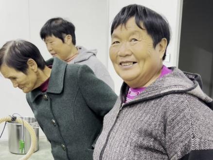 石磨香油制作流程让大家看看 #石磨香油