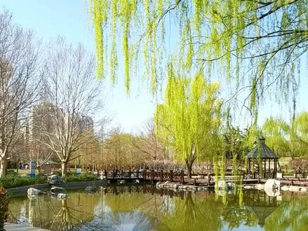 让你们看看最诚实的老人 明天这里开播@小明拆卡(文明版) #乖巧