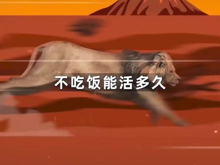 你知道动物只喝水不吃饭能活多久吗?