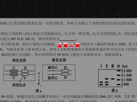 高考生物重难点|基因工程专项突破【377】 #基因工程 #干货资料 #高考生物 #提分秘籍 #家长必看系列