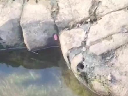 遇到这些情况该不该跑?选错直接全剧终。#科普