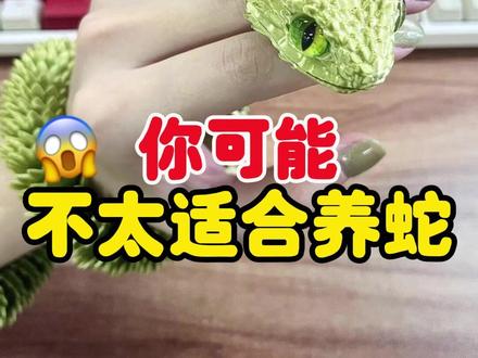 你可能不太适合养蛇,劝退版#蛇宝 #养蛇新手 #劝退养蛇