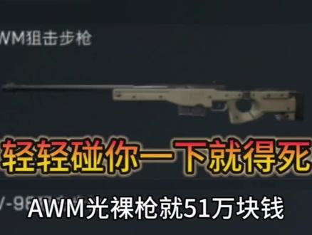 三角洲最贵的枪AWM,子弹5万一发!!《三角洲行动》