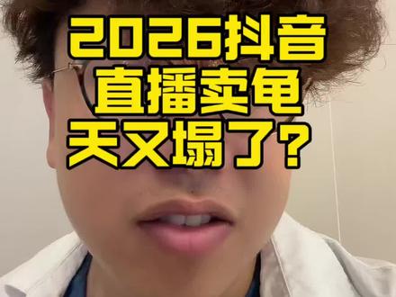 2026年抖音卖龟的规定又又又又天塌了? #嘿爬 #龟龟🐢 #龟宠时代 #直播卖龟 听说已经有不少朋友吃了大亏