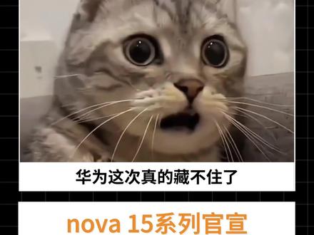 nova 15系列官宣 颜值性能双升级?#华为nova15新品发布会定档