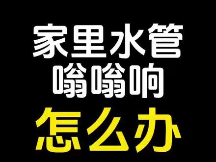 家里水管嗡嗡响怎么办?#好物推荐🔥 #专业生产厂家 #家庭漏水 #南鲸豚智能防漏阀 #水锤效应