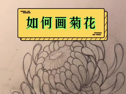 给大家分享我画传统菊花,对传统图案菊花的理解#画画其实很简单 #紋身 #绘画 #绘画教学 #绘画过程 #手绘线稿