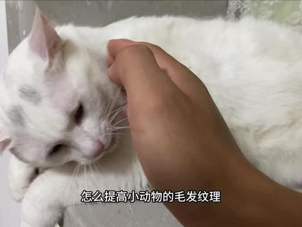 精通使用这几个设置,是不是就能告别后期?#索尼a7m4 #摄影教学 #摄影