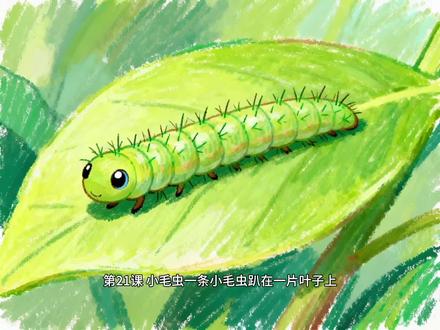 二年级下册语文||第21课||小毛虫 二年级下册语文||第21课||小毛虫
#课文动画 #课文预习 #课文朗读 #小毛虫