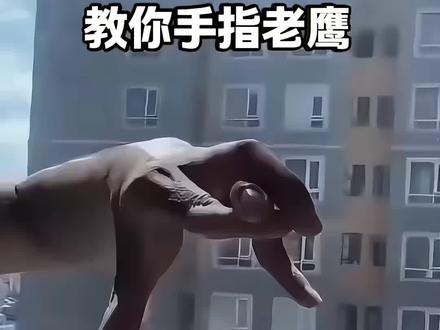 教你一招手指老鹰你看懂了吗? #魔术 #动手动脑 #脑洞大开 #手指动物