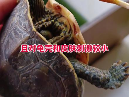 腐皮腐甲用碘伏就行了,低成本