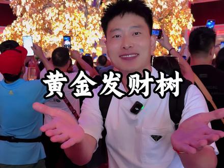 你们听说了吗,用价值3亿的黄金做了一棵发财树#发财树 #澳门