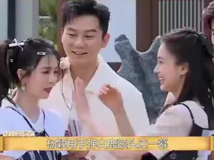 #综艺名场面 @白鹿my @杨颖angelababy 女生真的很照顾女生