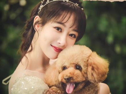 #杨紫
杨紫和PiuPiu整理
祝PiuPiu和所有毛孩子都健健康康
心若向阳,无畏悲伤