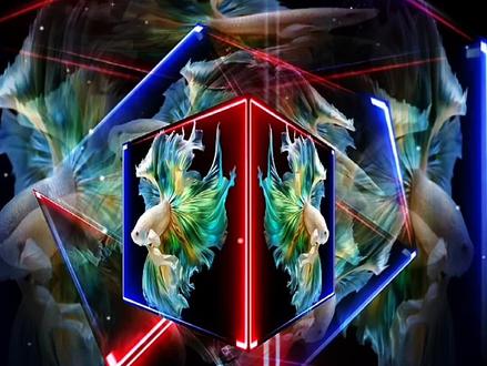 立方体旋转 1分钟轻松学会,酷炫立方体旋转特效#立方体旋转 #立方体旋转特效 #立方体特效 #剪映教程分享 #剪映制作特效视频 @DOU+小助手