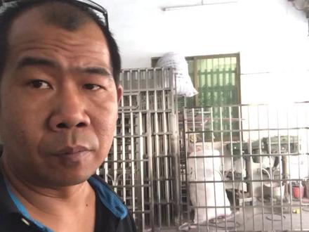 你是如何焊接防盗网飘网的?一个好方法能提高效率,更能节省体!