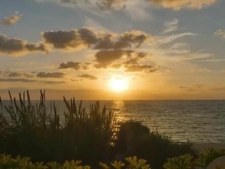 业绩暴雷、退市警报、股价狂飙——启迪环境的魔幻现实主义 #抖音精选 #干货分享 #知识分享 #热点