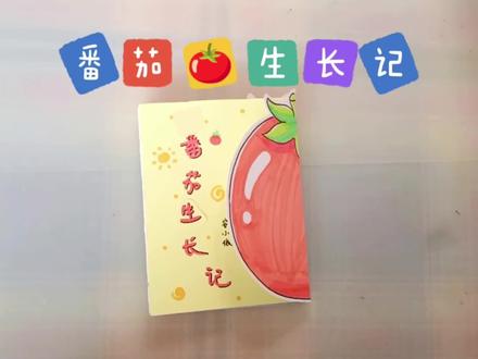 手绘番茄🍅生长绘本,一起了解番茄的生长过程!#手绘绘本#番茄#绘本小书#番茄生长绘本#自制绘本