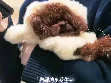 终于听见我nugu妹妹叫了~好嗲~