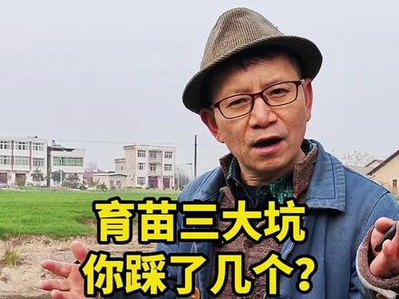 育苗三大坑,你踩了几个?这样改,苗子胖嘟嘟!#蔬菜育苗 #种菜小技巧 #蔬菜种植 #小菜园 #家庭种菜