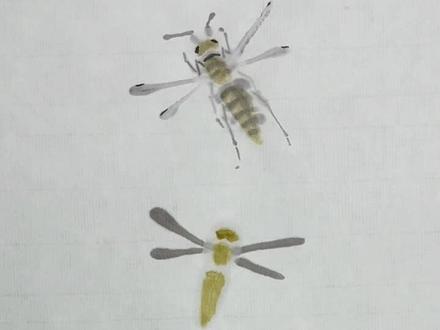 看到最后有惊喜 让我们一起召唤大黄蜂出场#国画 #国画教程 #零基础学画画 #大黄蜂