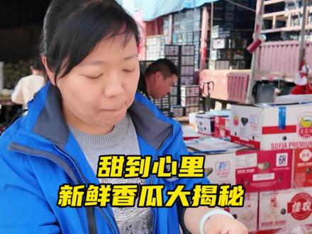 甜到心里,新鲜香瓜大揭秘!#香瓜 #香瓜甜瓜 #农批 #农批市场