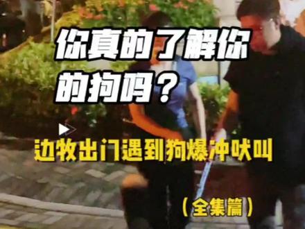 遇到狗狗会兴奋爆冲吠叫得边牧#萌宠出道计划 #边牧 #训犬