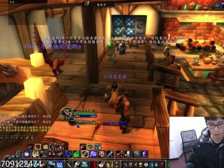 魔兽世界硬核服,联盟矮人猎人1-35级升级攻略,稳定安全