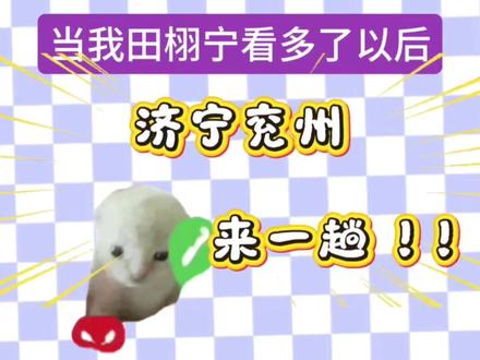 发出来之前笑了两个小时
想你了田田啊啊啊啊,精神状态已经颠了嘿嘿#精神状态belike #我担秒了全世界 #田栩宁#191
#帅就完事了