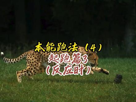 本能跑法(4 ) 为什么你的起跑反应老是慢半拍,高手永远比你快0.2,这个视频为你揭秘,把起跑听枪变成膝跳反射…#短跑训练 #短跑 #田径运动员 #起跑 #诺辉田径