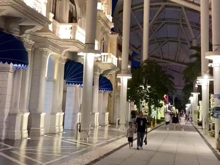 澳门的18条冷知识,你知道吗?#澳门 #旅行推荐官 #去哪玩