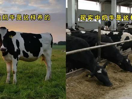 奶粉的水太深了,你知道吗?#宝妈