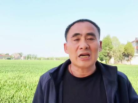 种小麦的老乡注意了!
想买保险到付受灾如何理赔?国家补贴政策讲明白,种地别吃亏。#小麦保险#三农干货