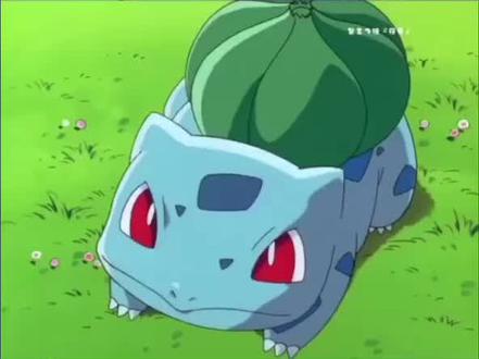 妙蛙种子的特殊技能。#治愈