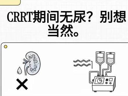 CRRT 期间无尿 肾在“休息”or“喊救命”? Focus on oliguria during renal replacement therapy#知识前沿派对 #抖出健康知识宝藏 ##医学科普 #ICU #急重症