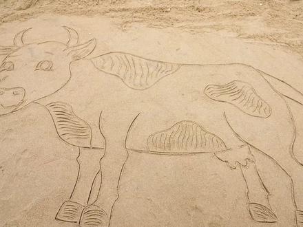 用饮料和水母打造沙上彩虹水牛,这样的奇思妙想能成功吗? #解压 #实验 #挑战 #创意 #DIY