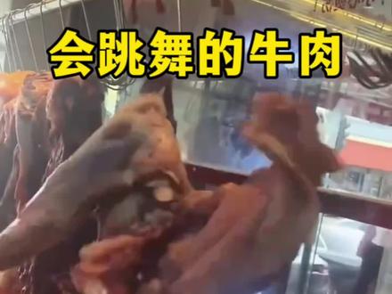 牛肉跳舞原来是这个原因! #内容启发搜索 #牛肉
