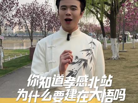 孝感北站,为什么不在孝感而在大悟,今天一分钟带你了解真相#孝感北站 #四大名北高铁站 #高铁站 #大悟县 #科普