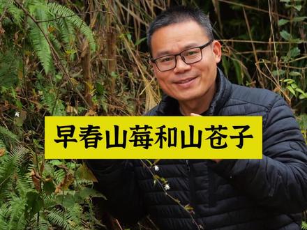 早春二月,详解山莓和山苍子的独特价值!#新农人计划2024