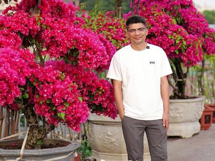 三角梅不开花?控水藏着“狠心”的浪漫,你的花在等什么暗号?