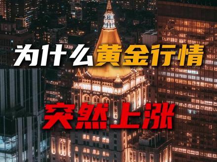 为什么黄金行情突然上涨 #黄金 #理财 #投资