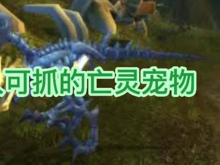 魔兽世界9.1猎人可抓的亡灵宠物-骷髅迅猛龙-持续更新中#猎人#兽王 #特效#宠物#亡灵#迅猛龙 #骷髅迅猛龙#魔兽世界#魔兽世界怀旧服 #wow