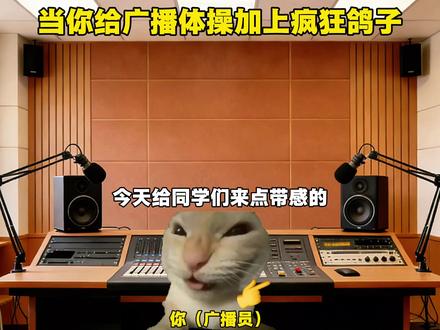 七彩阳光与疯狂的鸽子#猫meme #音乐分享 #疯狂的鸽子#七彩阳光