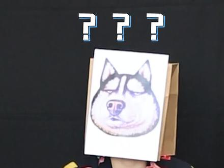 用手机APP就可以翻译狗狗的语言,真的可行吗?#萌宠成精了 #少儿编程