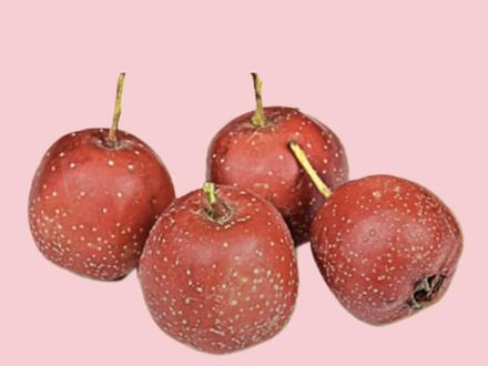 #怀孕 孕妇可以吃山楂吗?这个季节看到满大街的糖葫芦和山楂雪球嘴馋了有木有😜#孕妇能吃什么水果