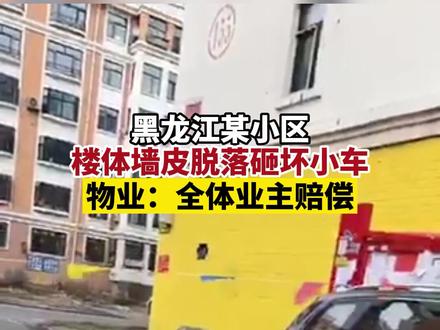 近日,黑龙江七台河某小区楼体保温墙皮脱落砸坏小车,物业回应全体业主赔偿,视频来源:@爱婴育婴坊