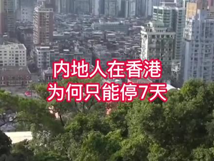 内地人在香港为何只能停留7天 #港澳 #正能暈 #人口 #香港通关