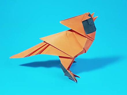 折纸红衣主教鸟教程3